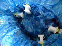 自動(dòng)鞋套機T型鞋套  防水防塵pe塑料加厚腳套100只裝 藍色T扣鞋套 52*15 曬單實(shí)拍圖