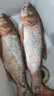 挺派釣魚鰱鳙小藥花鰱專攻野釣白鰱胖頭魚黑坑誘食劑大頭魚餌料添加劑 鰱戰(zhàn)-酸臭味型150ml（推薦花鰱使用） 曬單實(shí)拍圖