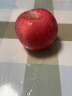 沙窝曙光陕西洛川红富士苹果水果新鲜脆甜冰糖心时令应季丑苹果水果礼盒 带箱5斤特大果装  （净重4.5斤） 实拍图