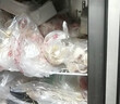 晶貝四開門商用冰箱 立式4門\/6門冰箱商用冷柜廚房冰箱商用六門冰柜大容量雙溫雙控 四門冷凍旗艦款-5~-15° 曬單實拍圖