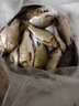 川澤子線雙鉤狼牙魚鉤競(jìng)技黑坑防纏繞魚鉤綁好套裝釣魚鉤成品全套漁具 黑坑狼牙5【鉤10;線1.2-1.5】 20付成品套裝 曬單實(shí)拍圖