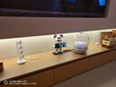 哈曼卡頓（Harman/Kardon）水晶4代 桌面藍(lán)牙音箱 電腦通用雙聲道桌面音響 禮物 低音音響 藍(lán)牙低音炮氛圍燈音響教師禮物水晶4 曬單實(shí)拍圖