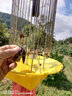 鑫科陽(yáng)農(nóng)用殺蟲(chóng)燈滅蟲(chóng)燈果園戶(hù)外防水茶園自動(dòng)光控雨控頻振式黑光誘蟲(chóng)燈 交流電40W大型雙層網(wǎng) 增強(qiáng)款 曬單實(shí)拍圖