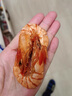 海鮮頌超大九節蝦干即食大蝦干對蝦干特大烤蝦干大干蝦海鮮零食海產(chǎn)干貨 特大斑節蝦干500g 曬單實(shí)拍圖