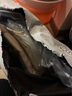 巴布豆寶寶長褲嬰兒衣服春秋新款兒童褲子中小童束腳百搭童裝男童外穿 藍 調(diào)皮巴布X 110 曬單實拍圖