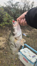 SHIMANO 禧瑪諾CQ BFS鼓輪溪流路亞遠投馬口專用微物輪cqbfs鼓輪 23款CQ BFS XG-8.9速比 左手型 曬單實拍圖