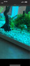 森悠（SARYOR）魚(yú)缸懶人沉木水榕造景裝飾活體植物水族箱真水草套餐淡水增氧水草 垂淚莫斯沉木 曬單實(shí)拍圖