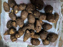橙市碼頭奶香芋頭新鮮小芋頭 1500g/2500g/5000g 香芋頭荔浦毛芋 1500g 【甄選品質(zhì)】 曬單實(shí)拍圖