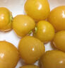 【順豐】東北姑娘果特產(chǎn)水果新鮮整箱菇娘果燈籠果小金豆現(xiàn)摘產(chǎn)地 帶箱3斤 曬單實(shí)拍圖
