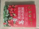 草莓高效栽培彩色圖解 曬單實(shí)拍圖