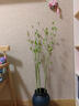 掬涵 仿真綠植小葉藤蔓藤條綠植可彎曲造型假樹(shù)枝裝飾花卉插花擺件花 小龍須枝（綠桿） 曬單實(shí)拍圖
