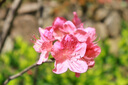 佳能（Canon） RF-S 18-45mm F4.5-6.3 IS STM 適用R100/R50/R10/R7微單半畫幅廣角變焦鏡頭 RF-S 18-45拆機(jī)銀色 官方標(biāo)配【贈后期軟件+攝影教程+延 曬單實(shí)拍圖
