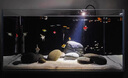 凡弧2024家用客廳魚缸底柜小型魚缸架子定做水族箱底座柜簡(jiǎn)約儲(chǔ)物柜子 黑架+白色[帶柜款]不含魚缸 50x30x70cm 曬單實(shí)拍圖
