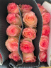 斗南基地直批发玫瑰鲜花全国速递配送女友生日礼物家用水养插花 艾莎玫瑰18支+2支（防损） 实拍图