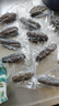 青島海鮮即食海參500g海產(chǎn)品新鮮遼刺單抽真空即食滋補海生海滲 15～20小 曬單實(shí)拍圖
