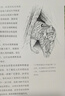 世界野生貓科動(dòng)物（你一定要收藏的野生大貓家譜畫(huà)冊(cè)！“貓盟”翻譯，探尋野生貓科動(dòng)物種群之間的關(guān)聯(lián)，漫談它們的家族秘史和趣聞，體驗(yàn)有溫度、有意思的科學(xué)研究！） 曬單實(shí)拍圖