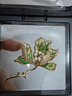 尹木夕海棠花胸針小眾高級感高檔女奢華氣質(zhì)長(cháng)輩生日禮物配飾送媽媽老婆 XZ0567海棠花胸針 曬單實(shí)拍圖