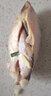 沃鮮客連云港贛榆新鮮黃鯽子黃鯽魚油炸黃尖魚烤子魚海鮮特產(chǎn)油扣魚簿鯽 曬單實拍圖
