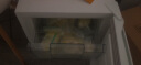 先科（SAST）小冰柜家用小型迷你冰箱立式冷柜 全冷冻储存母婴母乳冷柜囤货冷柜速冻 节能轻音小型家用母乳冰柜 【两层抽屉】全冷冻 母乳存储 50L 实拍图