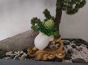 莫尼森  MOREISAN 黃銅百財(cái)大白菜擺件工藝品客廳辦公室裝飾品送朋友喬遷開(kāi)業(yè)禮品 百財(cái)齊聚白菜22.5*14*20.5cm 曬單實(shí)拍圖