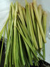 槿饈新鮮香茅草500g 檸檬草西餐香料冬陰功湯食材料 500g 曬單實拍圖