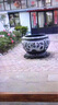 鎏銘石雕魚(yú)缸花盆門(mén)海仿古天然青石水缸庭院荷花缸流水種花養(yǎng)魚(yú)池石缸 直徑80厘米不 高58厘米左右 曬單實(shí)拍圖