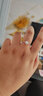 喜鉆七夕禮物  GIA裸鉆定制鉆石戒指求婚結(jié)婚克拉鉆戒女30分50分1克拉 30分D色VS2 3EX N【配戒托】 曬單實拍圖