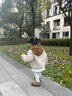奇諾鼠【官方正品】寶寶雪地靴兒童短靴防滑加絨保暖男女?huà)胲浀锥久扌?黃色 23 碼(適合腳長(cháng)13.7-14.2cm) 曬單實(shí)拍圖