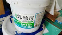 泰耘生物乳酸菌水產(chǎn)養(yǎng)殖專用乳酸菌種魚蝦蟹塘水產(chǎn)用乳酸菌原粉降低水體PH 乳酸菌原粉 2.8kg/桶 曬單實拍圖