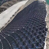 土工格室河道治理邊坡防護路基加固綠化植草高強度蜂巢網(wǎng)土工格室 高30 曬單實拍圖