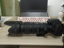 適馬/Sigma 70-200 50-100 100-400全幅防抖大光圈中長(zhǎng)焦打鳥二手鏡頭 95新 適馬70-200/F2.8 OS HSM 5代 標(biāo)配 佳能口 曬單實(shí)拍圖