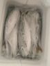 皆鄰東山島生態(tài)養殖巴浪魚(yú)竹莢魚(yú)深海海鮮水產(chǎn)順豐冷鏈直發(fā)2-3條/1斤 生態(tài)養殖巴浪魚(yú)2-3條/1斤 曬單實(shí)拍圖