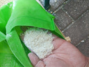 莊子然玉米磨粉機(jī)小型養(yǎng)殖專用飼料顆粒機(jī)家用打粉機(jī)小型五谷雜糧粉碎機(jī) 鋼輪2500W鋁芯丨粗細(xì)可調(diào)丨干濕丨90斤/每小時(shí) 曬單實(shí)拍圖
