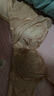 夏.娃.之.秀調整型女內衣商場同款文胸國潮刺繡軟支撐側收副乳膠胸罩5028 卡其 75B /34B(薄杯約1CM) 曬單實拍圖