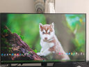 LG 27英寸 4K NanoIPS 160Hz(O/C) HDMI2.1 HDR600 硬件校准 1000:1 PS5 Fast游戏电竞显示器27GP95U 晒单实拍图