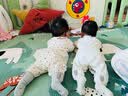 湯尼倍兒嬰兒連體衣春秋季新款純棉衣服女寶寶公主風(fēng)哈衣外出爬服 米黃色 59cm 曬單實(shí)拍圖