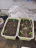 菜棚支架菜棚保溫棚花棚拱玻纖桿農(nóng)用小拱棚支架拱桿骨架玻璃鋼 5毫米粗2米長(zhǎng)20根 曬單實(shí)拍圖