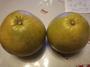 泰國紅寶石柚子泰柚紅心青柚新鮮熱帶水果青皮柚子 4個(gè)裝 曬單實(shí)拍圖