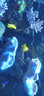 百因美美國海洋牌海水魚(yú)飼料觀(guān)賞魚(yú)海魚(yú)開(kāi)口魚(yú)食小丑魚(yú)魚(yú)糧素食雜食 海洋牌素食綠藻薄片71g 曬單實(shí)拍圖