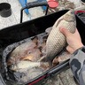 客友釣具客友名儒狂戰(zhàn)青鱘大物魚竿超硬巨物魚竿釣魚竿手竿魚桿臺(tái)釣竿漁具 5.4m 名儒狂戰(zhàn)青鱘版 曬單實(shí)拍圖