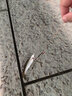 迪卡儂（DECATHLON）大力馬魚線8編pe主線大物全套路亞線編織防咬釣魚子OVF 橙色8編PE線 1米 0.6號(hào) 曬單實(shí)拍圖