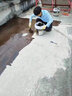 【京東到家房屋防水補漏維修】防水補漏維修衛(wèi)生間漏水維修外墻樓頂屋頂陽臺飄窗戶廚房廁所浴室墻壁別墅漏水 窗戶陽光房漏水 曬單實拍圖