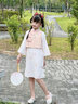 旗鉑旗袍女童春秋2026新款兒童漢服超仙古風(fēng)古裝小女孩民國風(fēng)旗袍 桃枝 旗袍+馬甲 130 曬單實(shí)拍圖