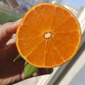 探味君 四川爱媛38号果冻橙 新鲜蜜柑橘桔子应当季时令水果带箱 2斤 装 果径约60mm-65mm 实拍图