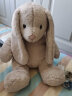 Steiff（史戴芙）兔子毛绒玩具Hoppie小兔子安抚玩偶大号公仔娃娃情人节礼物送女友老婆男女生生日礼物女儿童玩具女孩布娃娃兔子抱枕送男女朋友礼物礼盒 实拍图