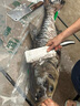 棠鮮生正宗千島湖胖頭魚(yú)整條活魚(yú)淡水鰱鳙大頭魚(yú)5-40斤包活到家送禮 10斤活魚(yú) 曬單實(shí)拍圖