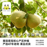 福建仙游度尾文旦柚甜【順豐到家—多地次日達】莆田當季新鮮水果 10斤【網(wǎng)袋裝】大果-超值裝  【40年老樹(shù)品質(zhì)】普通快遞 曬單實(shí)拍圖