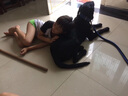KAMPET狗狗項圈狗脖圈狗圈小型犬中型犬大型犬牛皮金毛拉布拉多 超大號4.0 脖圍56-67cm 棕色 曬單實(shí)拍圖