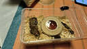 甲蟲成蟲墊材木屑獨(dú)角仙兜蟲鍬甲花金龜保濕墊材除臭寵物昆蟲飼養(yǎng) 200克木屑 曬單實(shí)拍圖