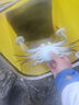 南北日本大一針魚鉤新關東無倒刺魚鉤鯽鯉魚釣針鋒利貫穿釣魚配件鉤子 新關東（無刺）1包 0.3號 曬單實拍圖